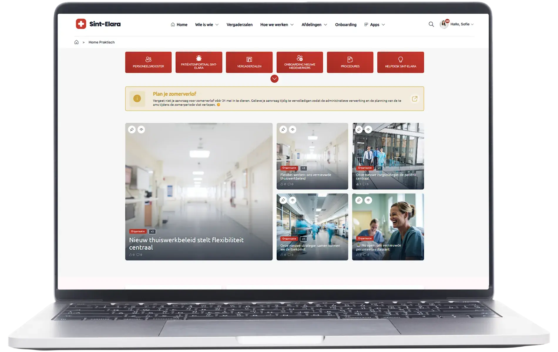 Intranet fully in your own branding — example 2